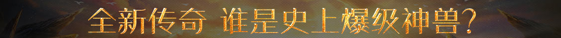 新河县新闻网